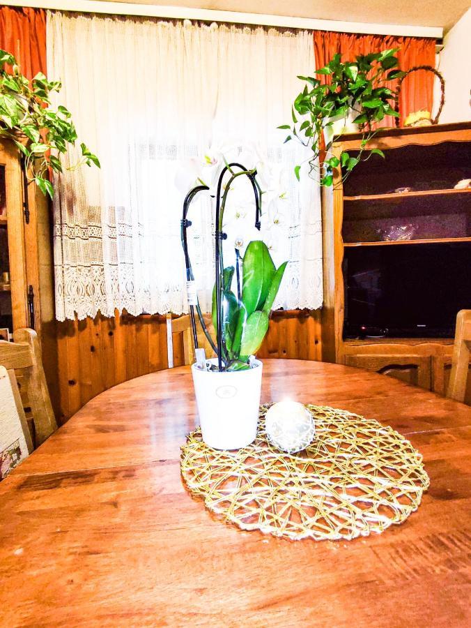 Apartmani Ankica Цриквеница Экстерьер фото